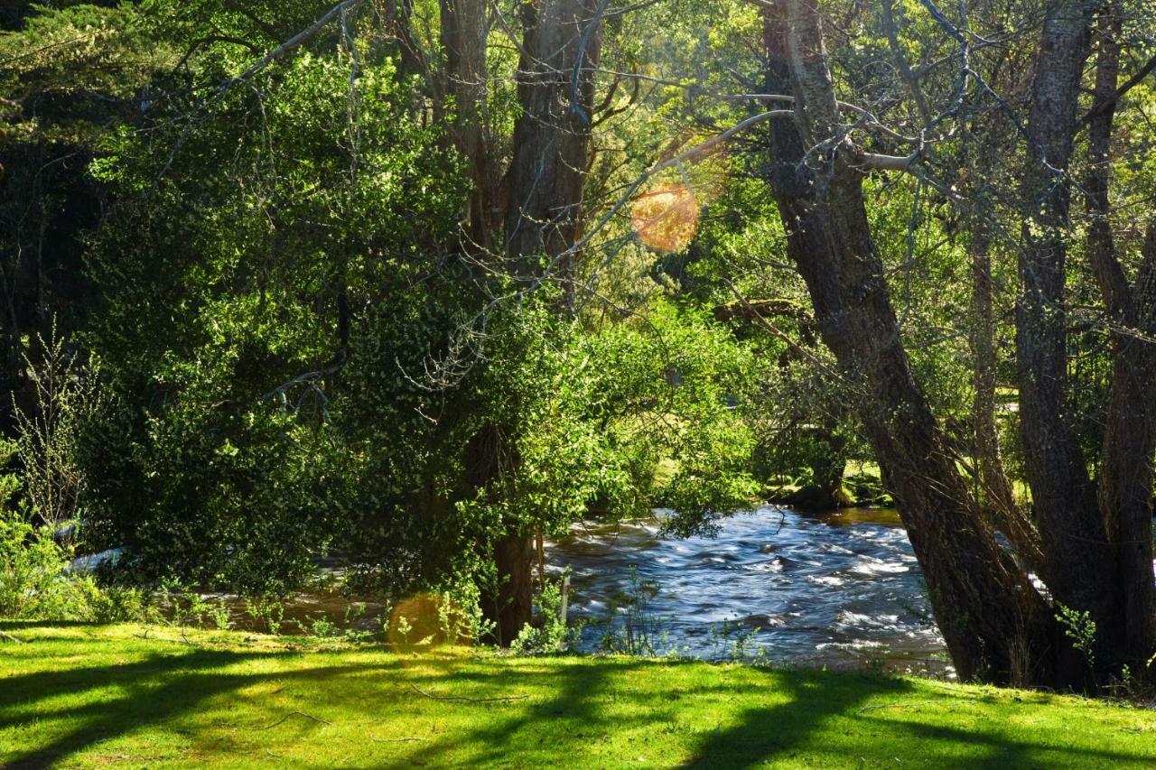 Russell Falls Holiday Cottages National Park Экстерьер фото