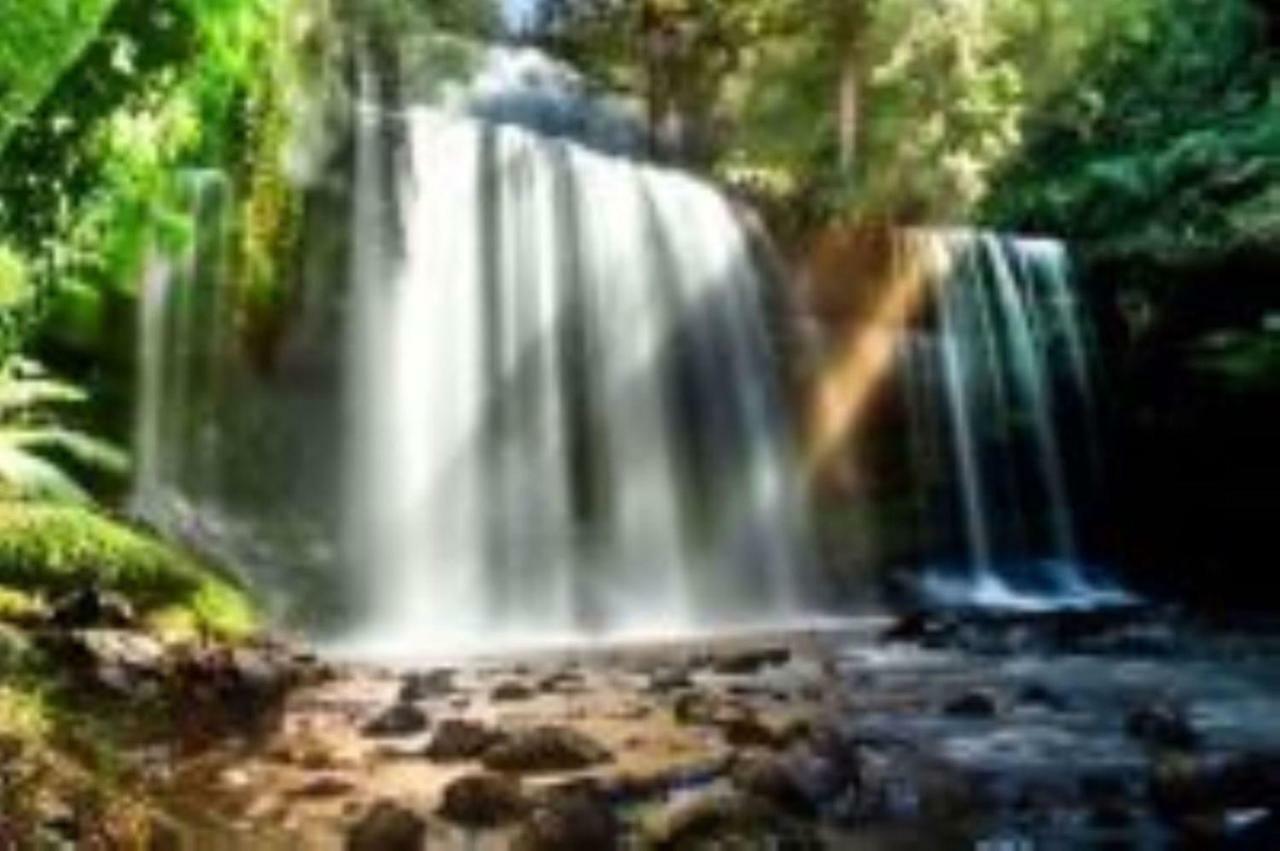Russell Falls Holiday Cottages National Park Экстерьер фото