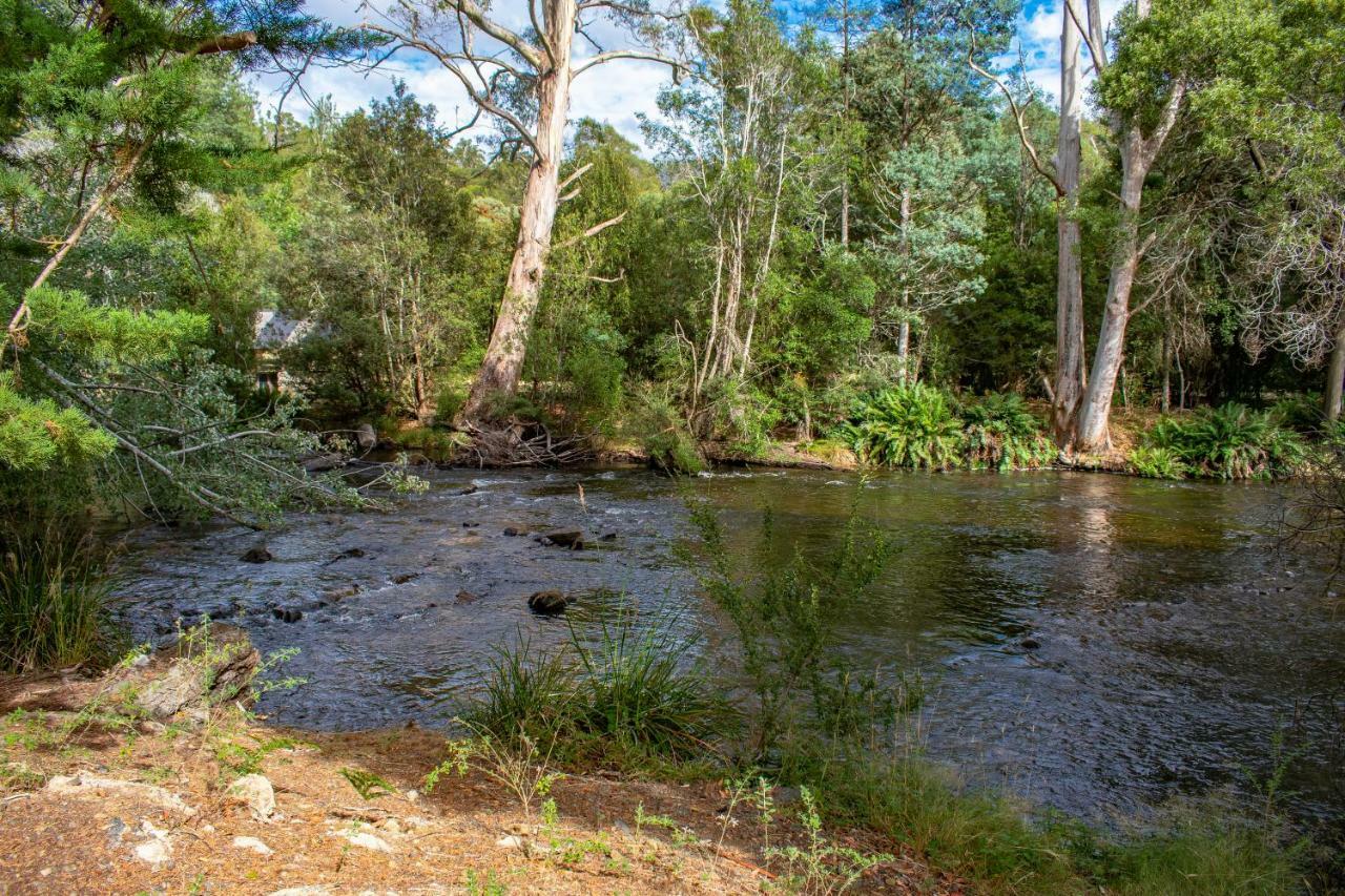 Russell Falls Holiday Cottages National Park Экстерьер фото