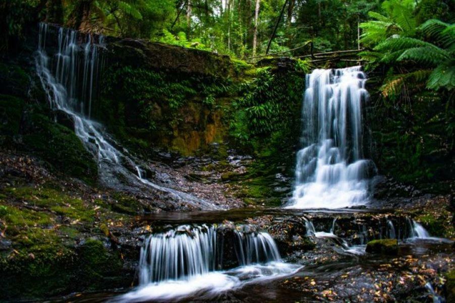 Russell Falls Holiday Cottages National Park Экстерьер фото